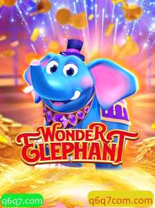 Descubra o Fascinante Jogo WonderElephant e Suas Regras Inovadoras